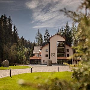 Das Erz Medical Spa & Hotel